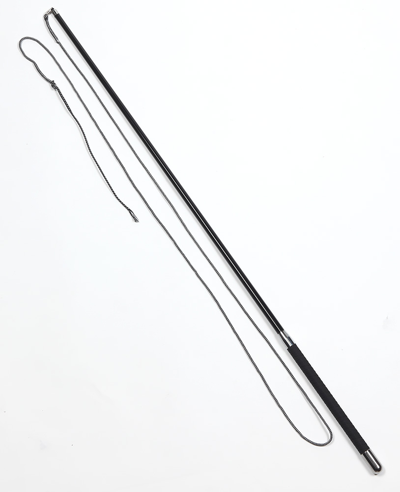 Pronto Avenue Expandable Lunge Whip